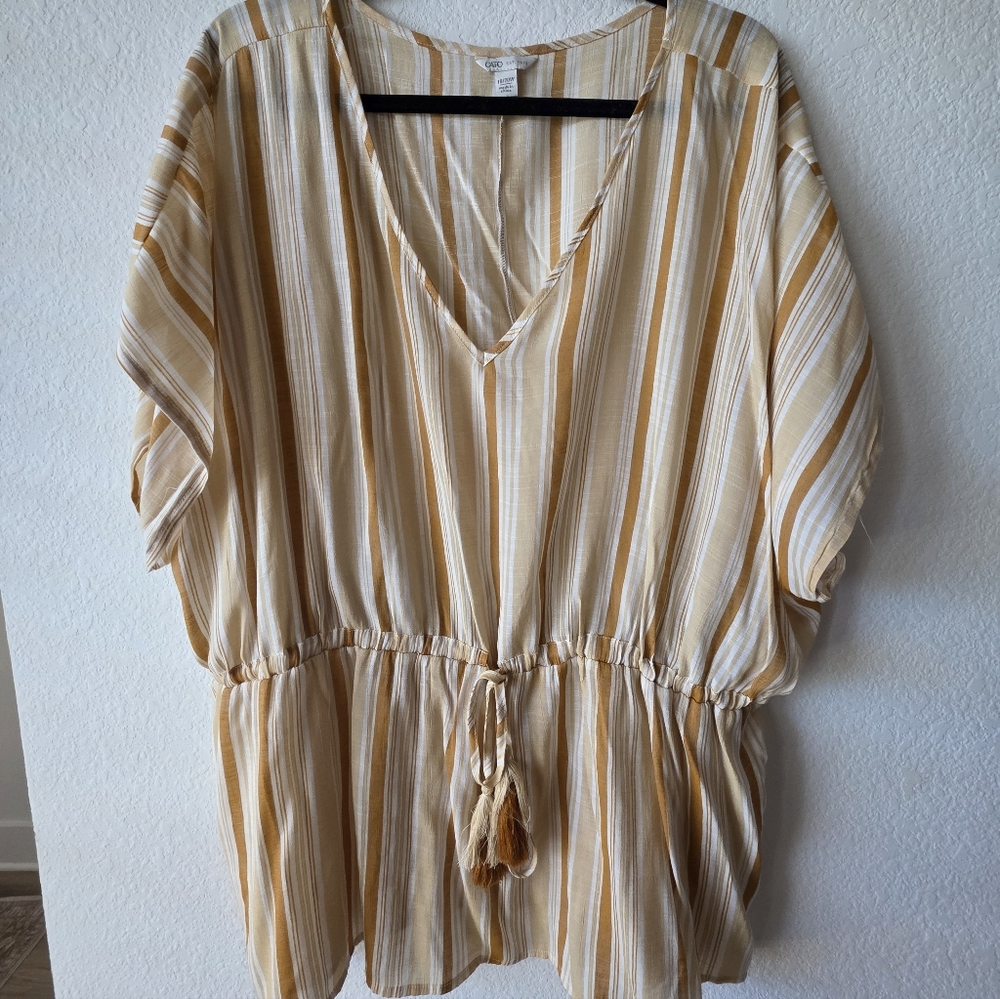 Chic Striped V-Neck Cato Plus Size Blouse - Picture 5 of 6